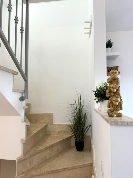 Casa Vacanza Elislor Apartments フィウミチーノ エクステリア 写真